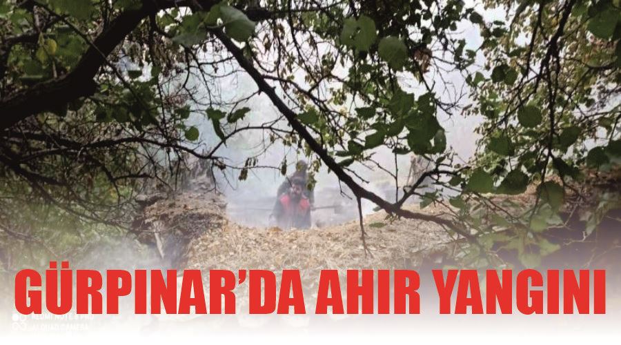 Gürpınar’da ahır yangını