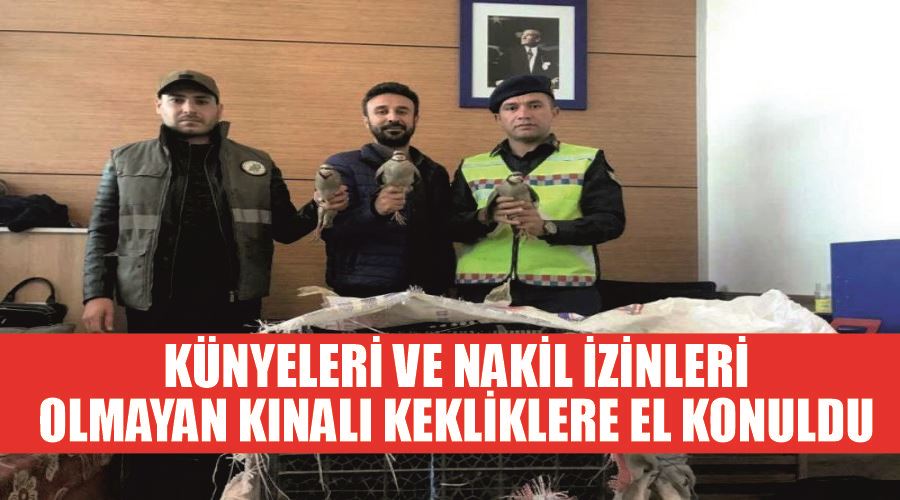 Künyeleri ve nakil izinleri olmayan kınalı kekliklere el konuldu