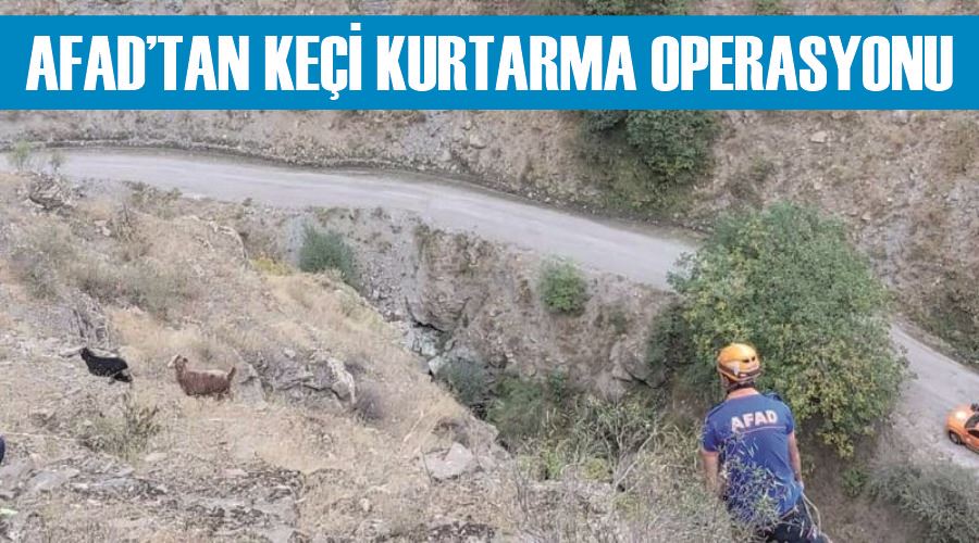 AFAD’tan keçi kurtarma operasyonu