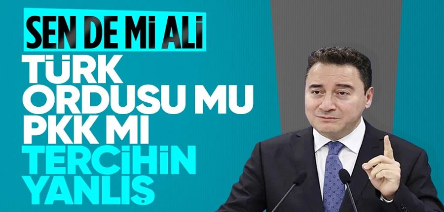 Ali Babacan, TTB Başkanı Fincancı