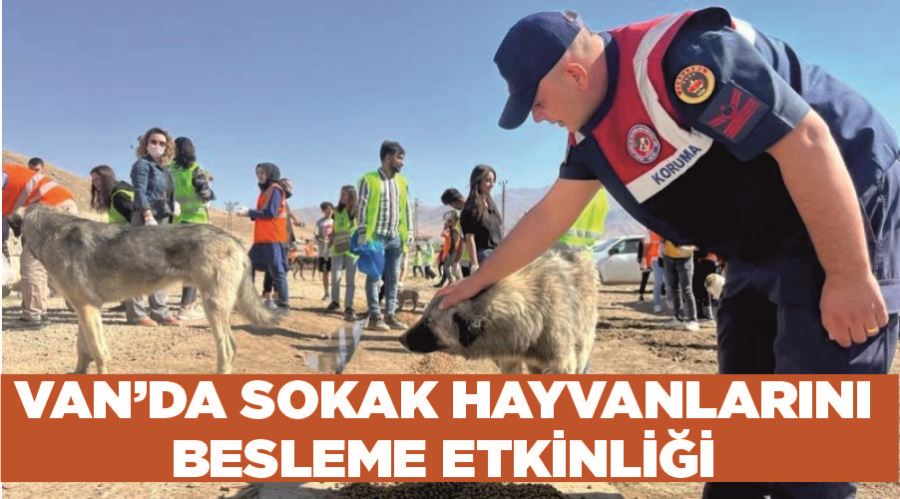 Van’da sokak hayvanlarını besleme etkinliği