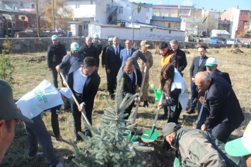 Çıldır’da fidan dikimi gerçekleştirildi
