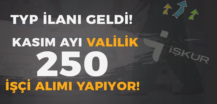 TYP Personel Alımı İlanı! Kasım Ayı Valilik 250 TYP İşçi Alımı