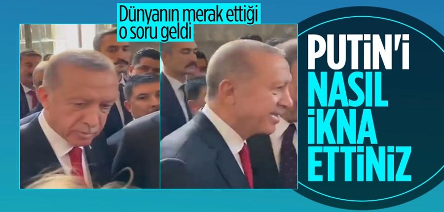 Cumhurbaşkanı Tayyip  Cumhurbaşkanı Erdoğan, 