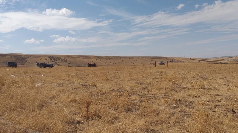 Elazığ’da 136 bin dekar alanda mera ıslah çalışmaları tamamlandı
