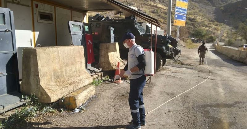 Hakkari’de Sarı Ömer örümceğine karşı ilaçlama yapıldı
