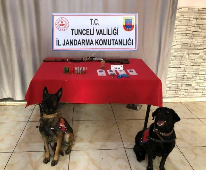 Tunceli’de uyuşturucu ve av tüfeği ele geçirildi: 2 gözaltı
