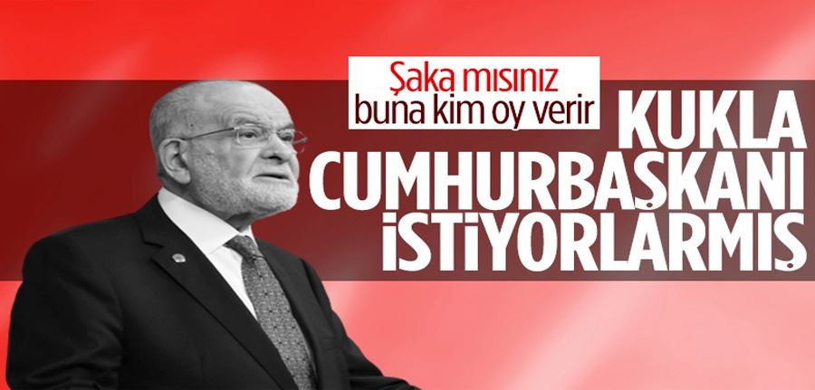 Temel Karamollaoğlu: Cumhurbaşkanını siyasi parti liderleri yönetecek 