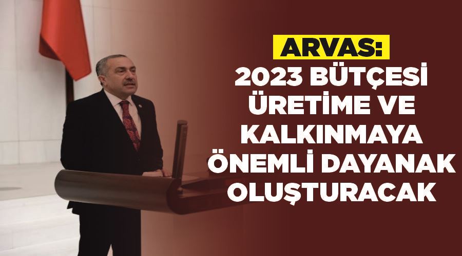 Van Milletvekili Arvas: “2023 bütçesi üretime ve kalkınmaya önemli dayanak oluşturacak”