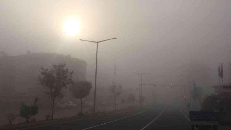 Darende’de sabah saatlerinde yoğun sis

