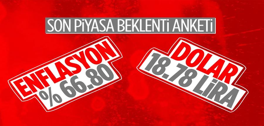 TCMB Piyasa Katılımcıları Anketi