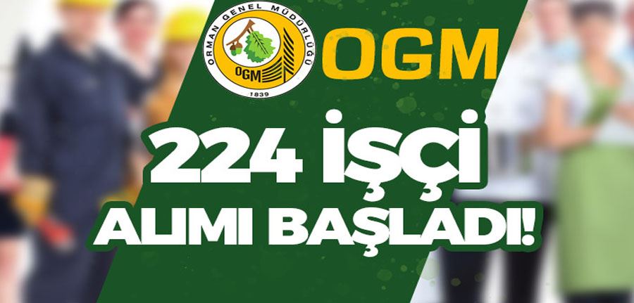 OGM 224 Kamu İşçi Alımı Başladı! 54 Şehir İŞKUR İlan No Nedir?