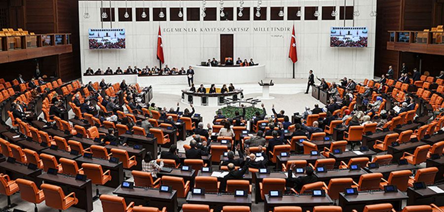 Bütçe görüşmelerinde ana dil tartışması