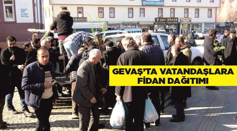 Gevaş’ta vatandaşlara fidan dağıtımı