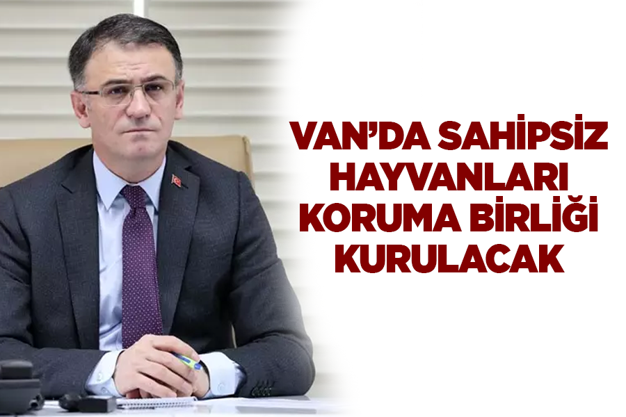 Van’da Sahipsiz Hayvanları Koruma Birliği kurulacak