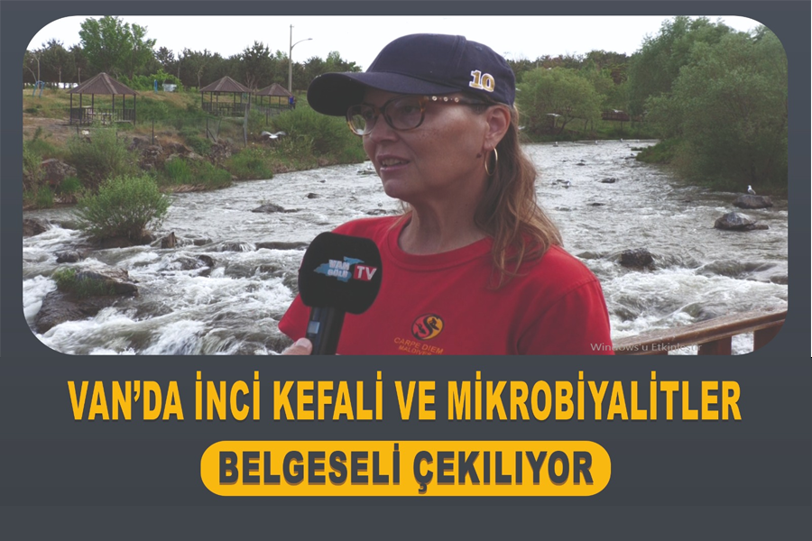 Van’da İnci Kefali ve Mikrobiyalitler belgeseli çekiliyor