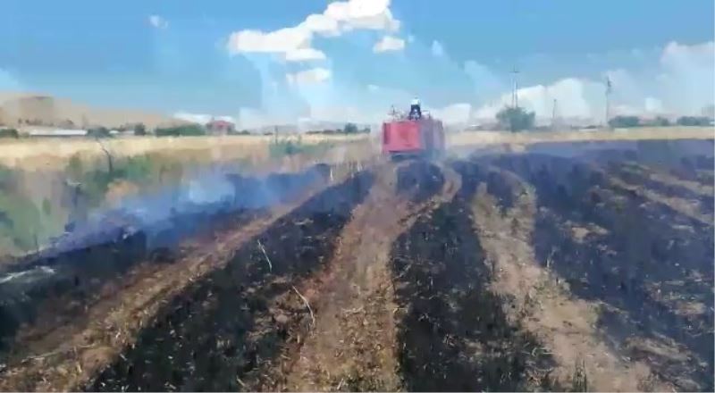 Elazığ’da 12 dönüm ekili alan kül oldu
