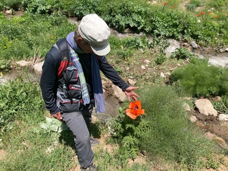 Tunceli’de bitki envanteri çıkarılıyor
