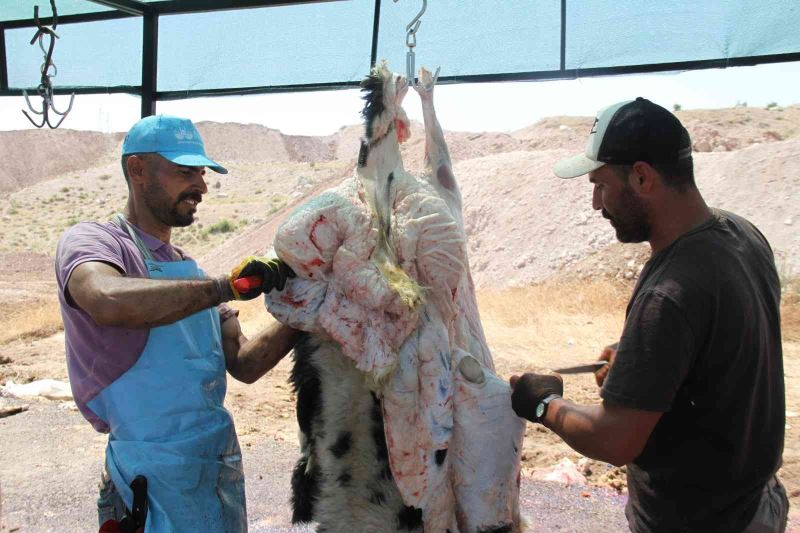 Elazığ’da kurban kesimi ikinci gününde de devam etti
