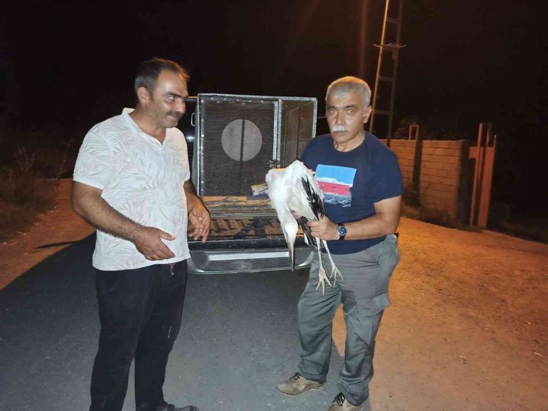 Rüzgardan etkilenen leylek tedavi altına alındı
