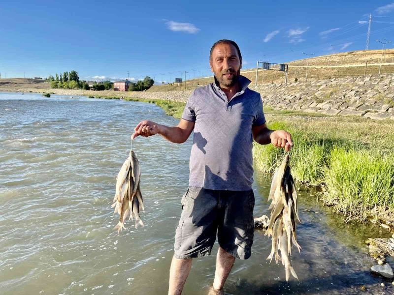 Sıcaktan bunalan vatandaşlar soluğu Murat Nehri’nde aldı
