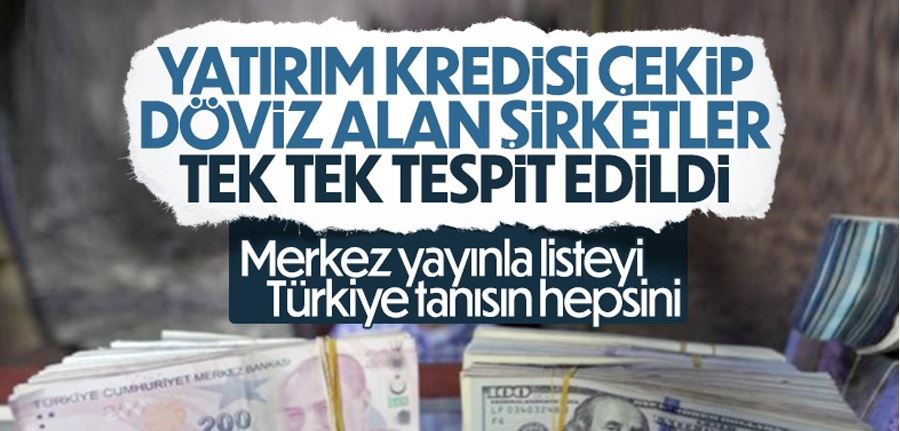 Yatırım kredisi kullanıp döviz alan şirketler tespit edildi 