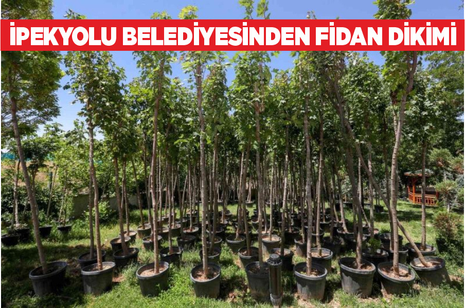 İpekyolu Belediyesinden fidan dikimi