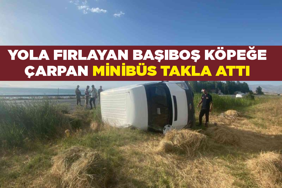 Yola fırlayan başıboş köpeğe çarpan minibüs takla attı