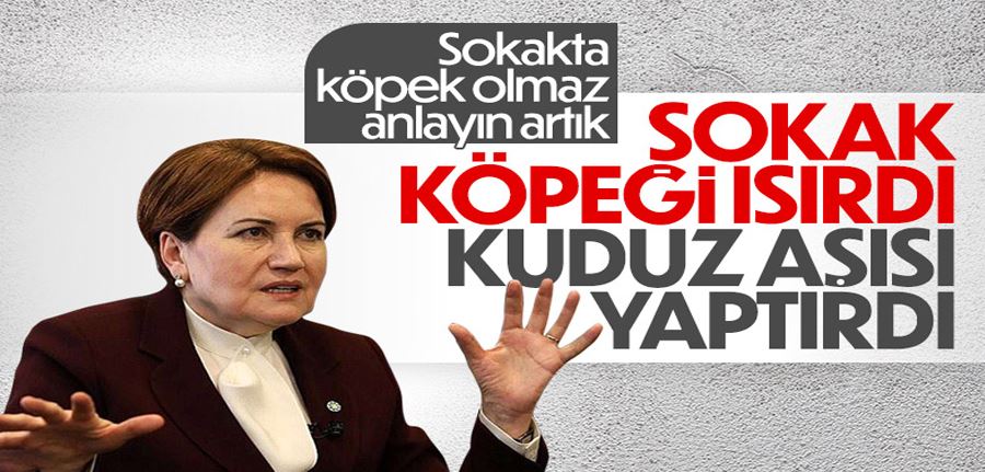 Meral Akşener