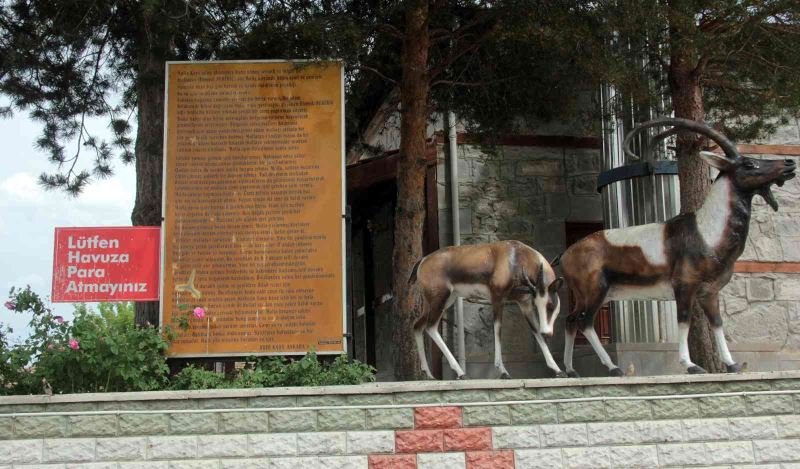 Erzincan’da şifalı su
