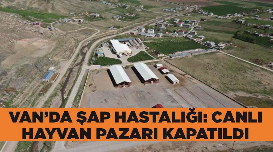 Van’da şap hastalığı: Canlı hayvan pazarı kapatıldı