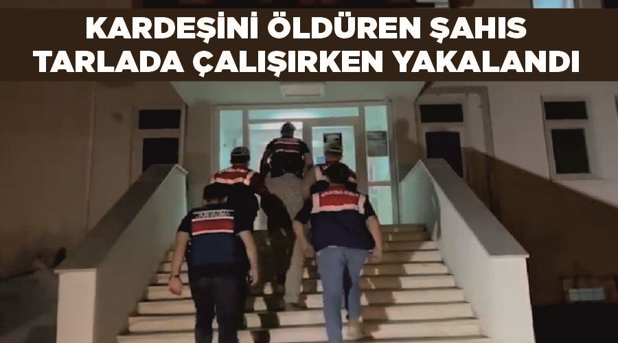 Kardeşini öldüren şahıs tarlada çalışırken yakalandı