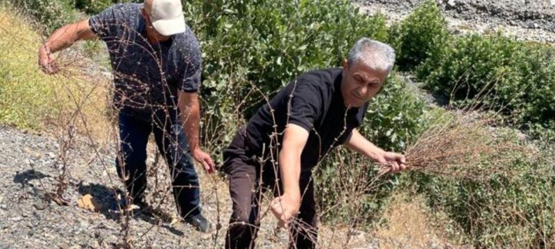 Elazığ’da biyoçeşitlilik izleme çalışmaları sürüyor
