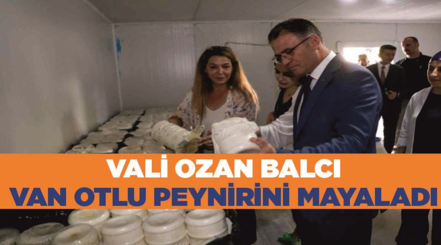 Vali Ozan Balcı, Van otlu peynirini mayaladı