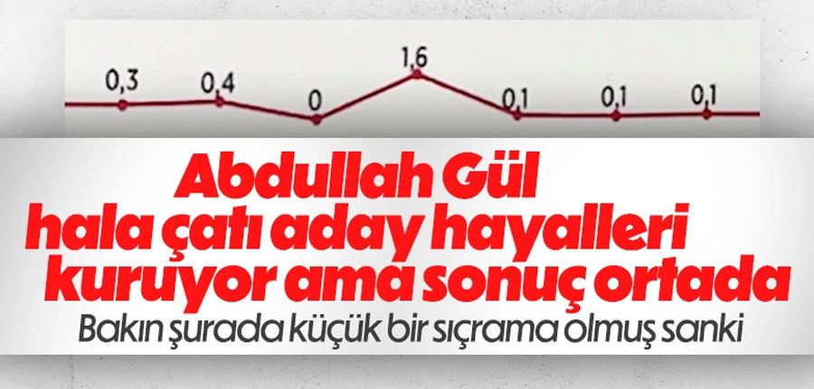  Cumhurbaşkanı adaylığı isteyen Abdullah Gül