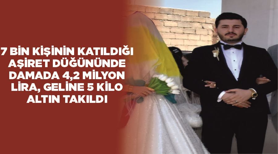 7 bin kişinin katıldığı aşiret düğününde damada 4,2 milyon lira, geline 5 kilo altın takıldı