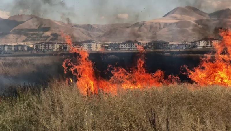 Çocukların oyunu buğday tarlasını yaktı, 20 dönüm küle döndü
