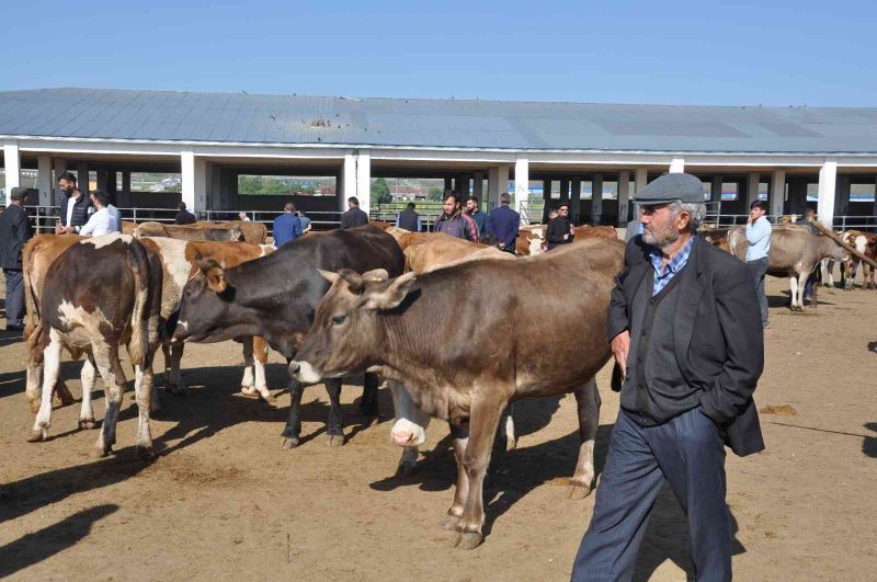 Kars’ta Hayvan Pazarları kapatıldı
