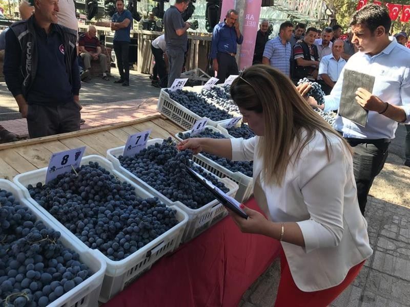 Coğrafi işaretli ürünler yoğun ilgi gördü
