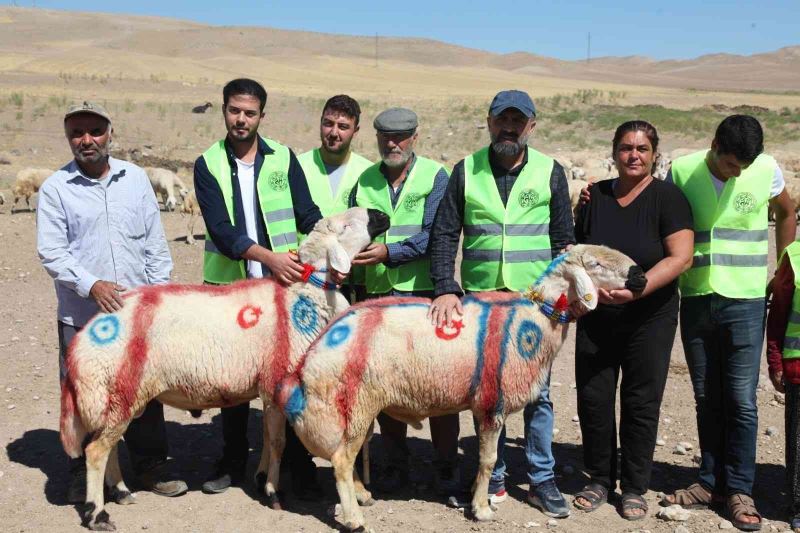 Malatya’da ’koç katım şenliği’ düzenlendi
