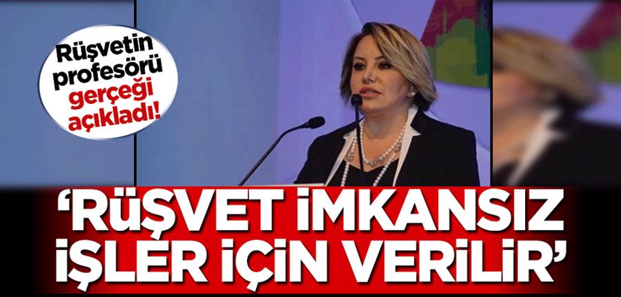 Rüşvetin profesörü Sineren gerçeği açıkladı: Rüşvet imkansız işler için verilir!