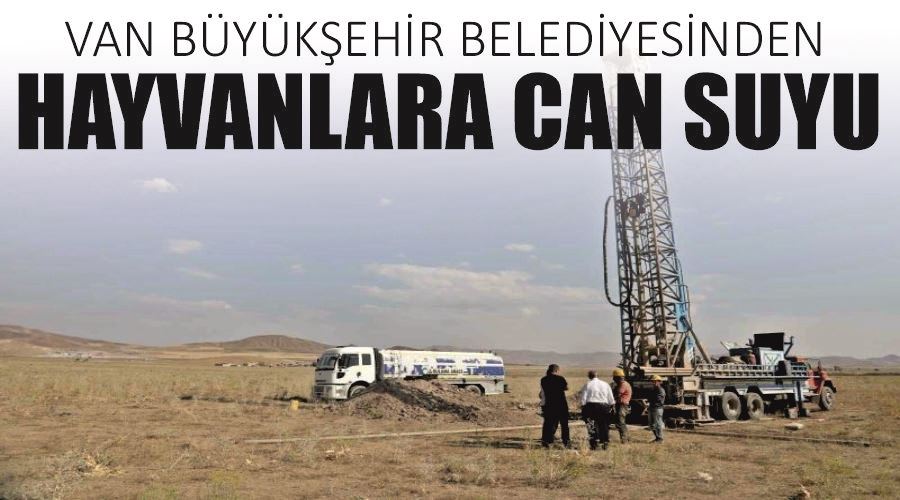 Van Büyükşehir Belediyesinden hayvanlara can suyu