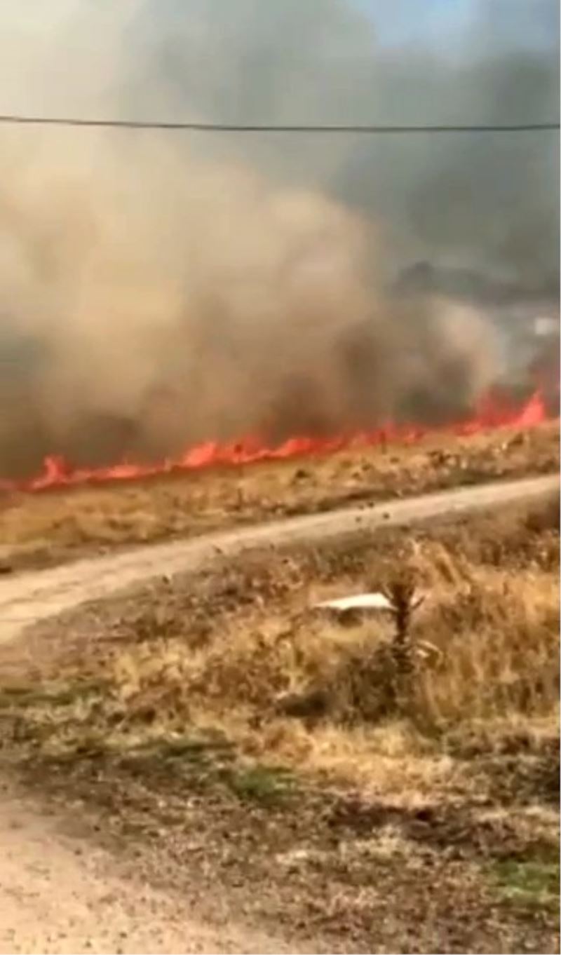 Elazığ’da korkutan yangın: 10 dönüm alan zarar gördü
