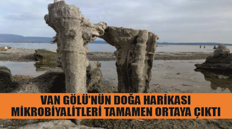 Van Gölü’nün doğa harikası mikrobiyalitleri tamamen ortaya çıktı