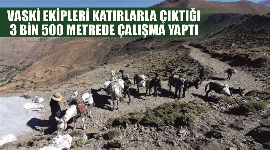 VASKİ ekipleri katırlarla çıktığı 3 bin 500 metrede çalışma yaptı