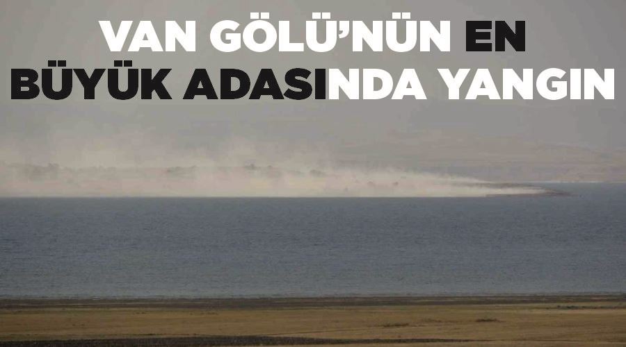 Van Gölü’nün en büyük adasında yangın