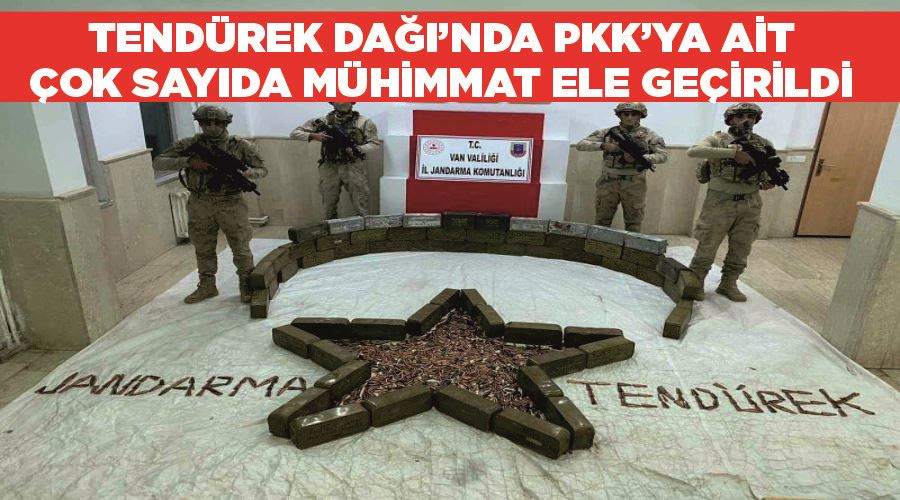 Tendürek Dağı’nda PKK’ya ait çok sayıda mühimmat ele geçirildi