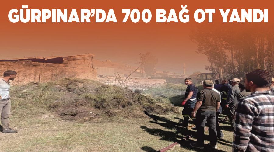 Gürpınar’da 700 bağ ot yandı