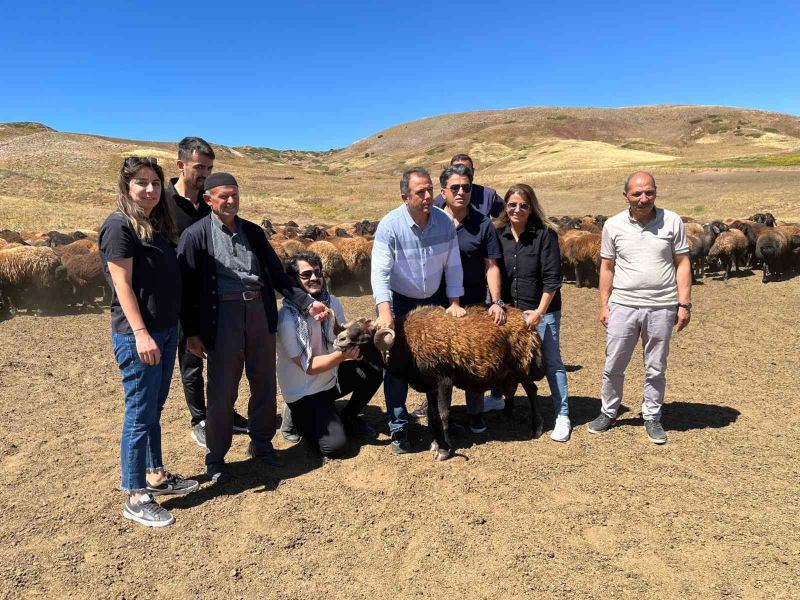 Elazığ’da 187 yetiştiriciye bugüne kadar 18 milyon 638 bin lira destek verildi
