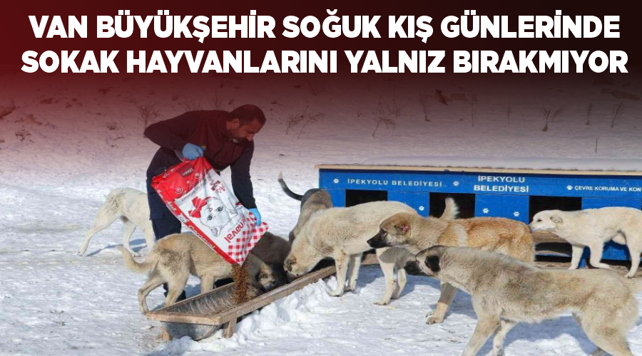 Van Büyükşehir soğuk kış günlerinde sokak hayvanlarını yalnız bırakmıyor